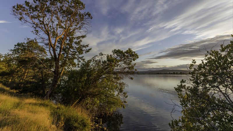 lake, branches, horizon, clouds, 4k