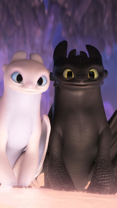 Movie How to Train Your Dragon: The Hidden World, Toothless (How To Train Your Dragon), 1080x1920