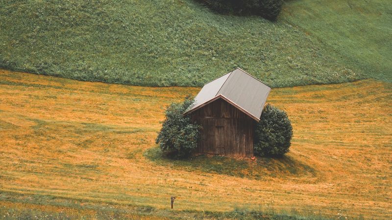 forest, mountains, house, landscape, 4k