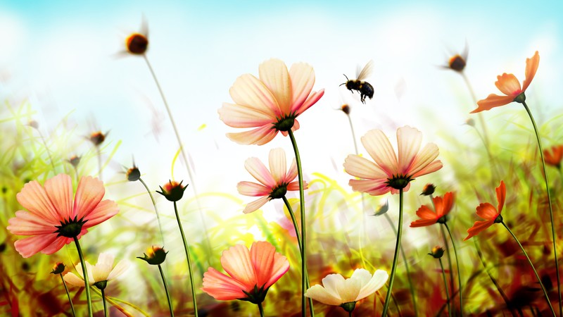 Flowers, 4k, spring, art