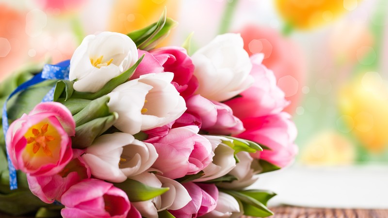 Tulip, flower bouquet, flowers, colorful
