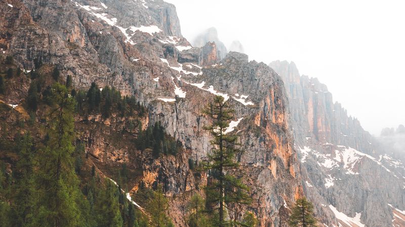 mountains, rocks, trees, fog, natur, 4k