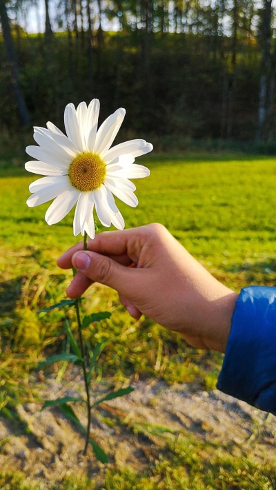 Earth Flower, 1080x1920