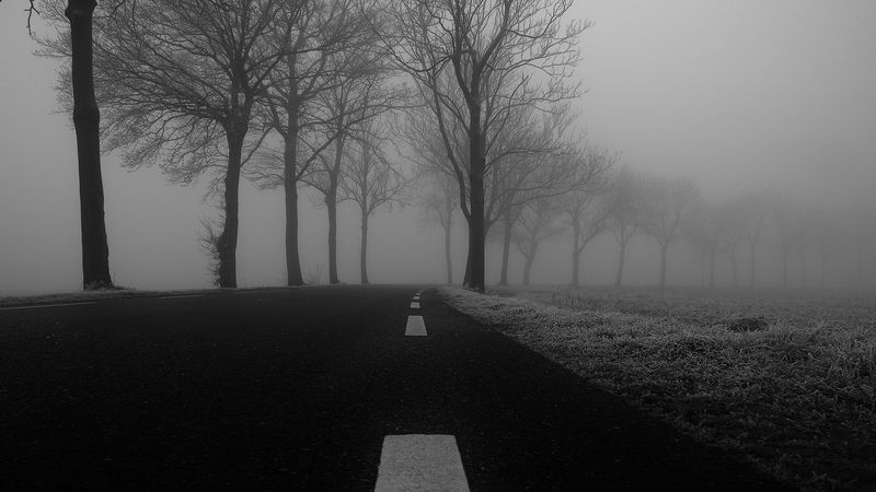road, fog, trees, bw, 4k