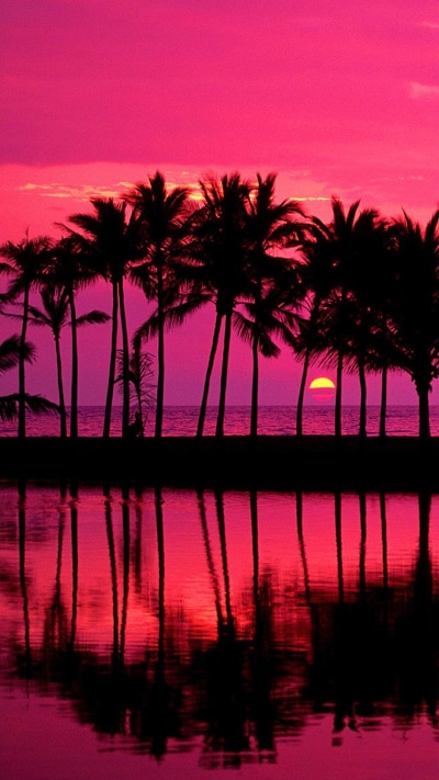 Earth Sunset, Sun, Palm Tree, Earth, Reflection, 1080x1920