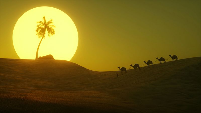 desert, sun, palm tree, hill, art, 4k