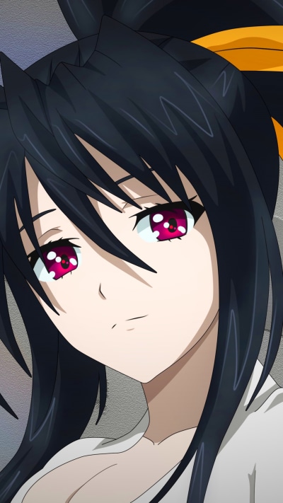 Anime High School DxD, Akeno Himejima, 1080x1920