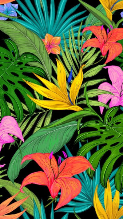 Artistic Flower, Colors, Tropical, 1080x1920