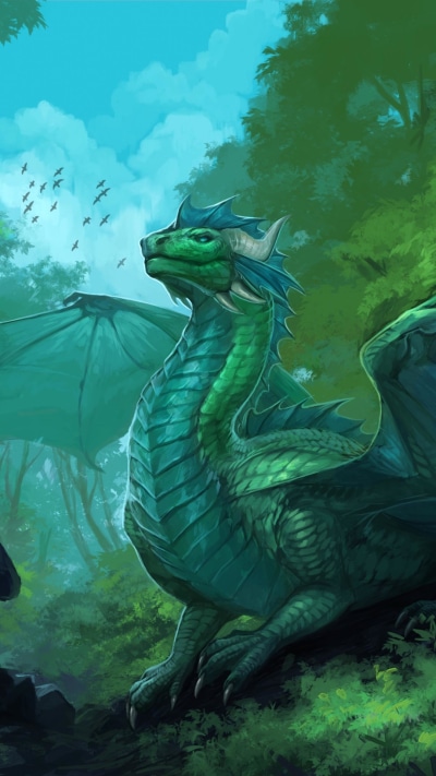 Fantasy Dragon, 1080x1920