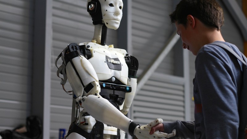 Inmoov, 3D Printed Robot, Maker Faire-2015, ROBOTS