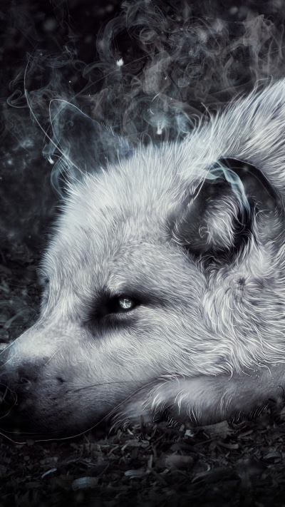 Fantasy Wolf, 1080x1920