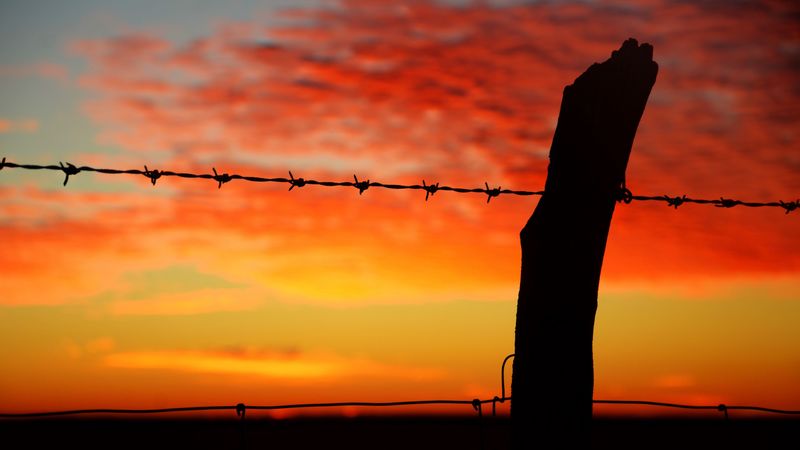 barbed wire, sunset, horizon, 4k