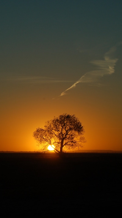 Earth Sunset, 1080x1920