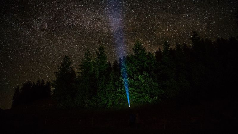 starry sky, forest, flashlight, glow, night, 4k