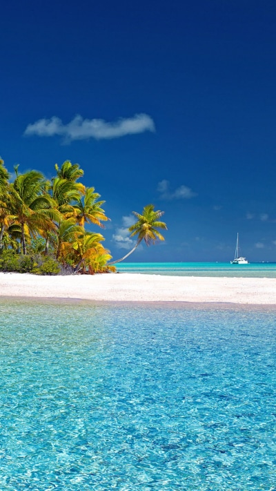Earth Ocean, Tropical, Island, Earth, Palm Tree, 1080x1920