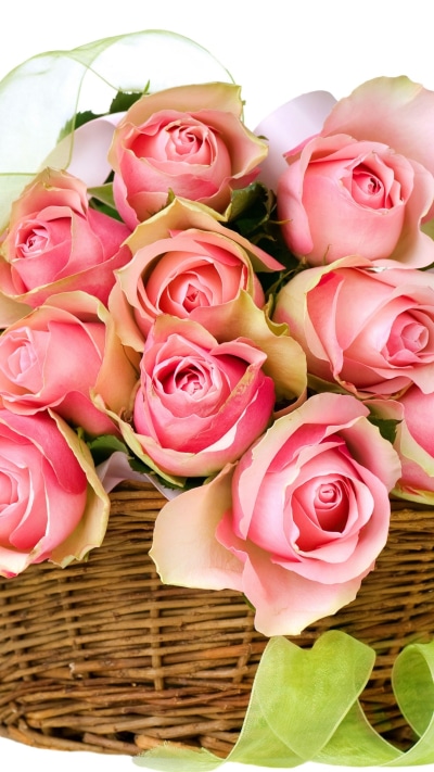 Man Made Flower, Pink Flower, Rose, Pink Rose, Basket, 1080x1920
