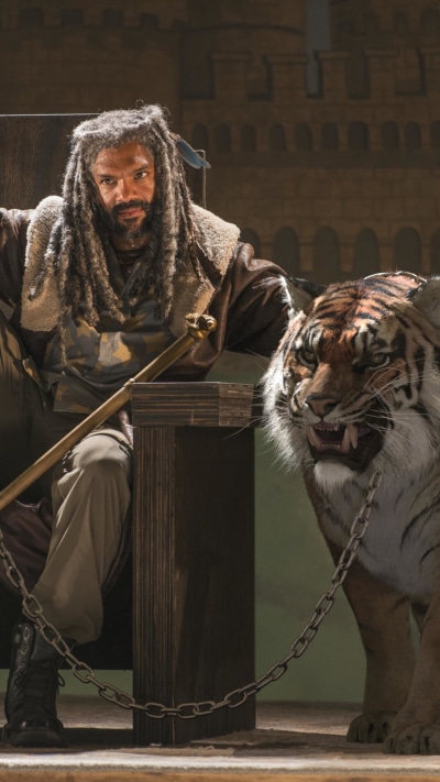 TV Show The Walking Dead, Tiger, Ezekiel (The Walking Dead), Shiva (The Walking Dead), 1080x1920