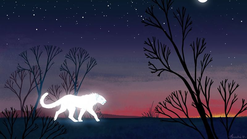 lioness, predator, glow, night, trees, art, 4k
