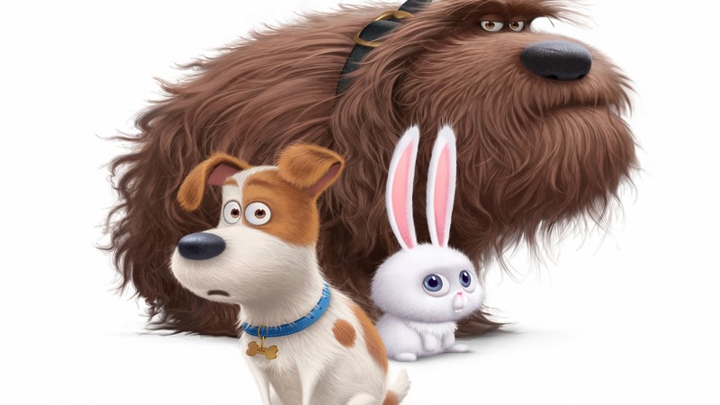The Secret Life of Pets, Best Animation Movies of 2016, cartoon