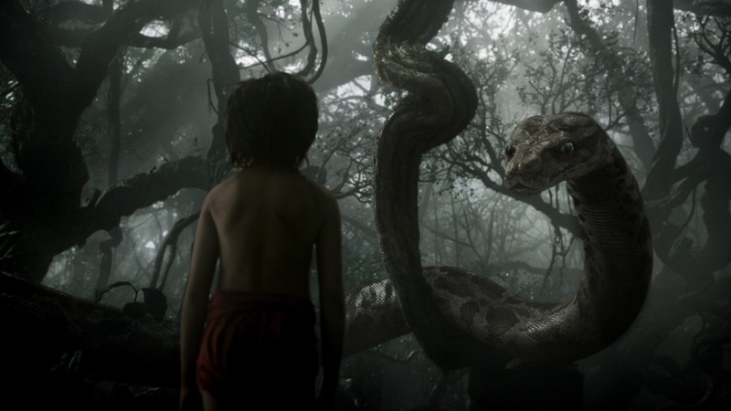 The Jungle Book, Mowgli, Kaa, adventure, fantasy, Best movie of 2016
