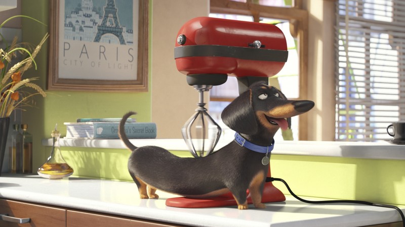 The Secret Life of Pets, Best Animation Movies of 2016, cartoon