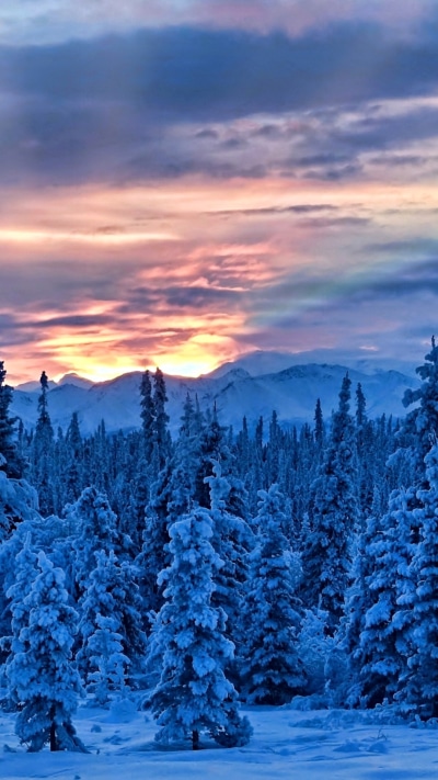 Earth Sunset, Cloud, Nature, Mountain, Forest, Sky, 1080x1920