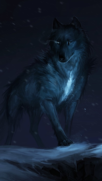 Fantasy Wolf, Night, 1080x1920