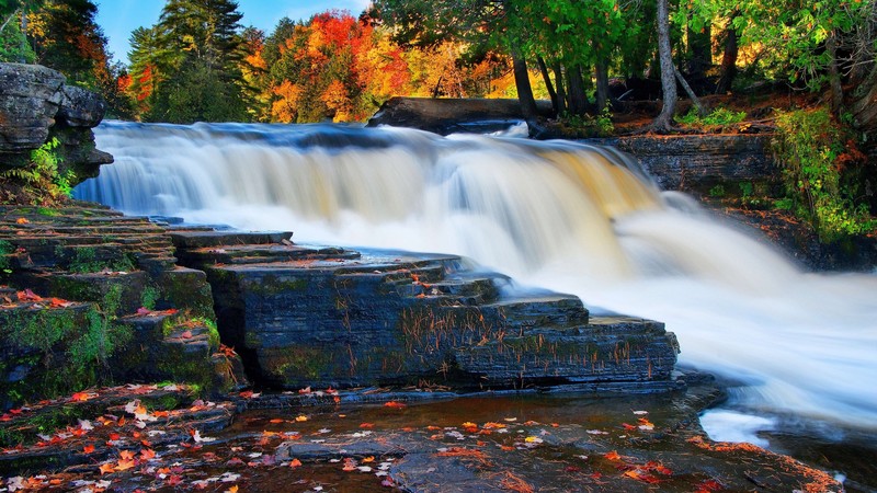 forest, 4K, river, waterfall, autumn