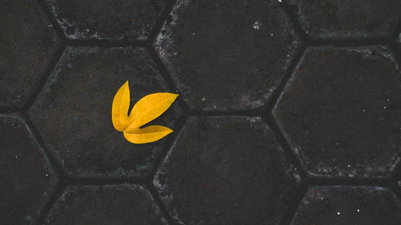 leaf, yellow, paving slabs, stone, 4k