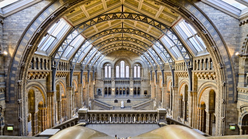 Natural History Museum, London, tourism, travel, vacation, resort