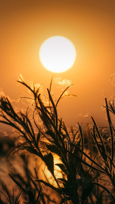 Photography Sunset, Close-up, Sun, 1080x1920