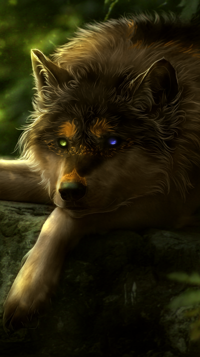 Animal Wolf, Heterochromia, 1080x1920