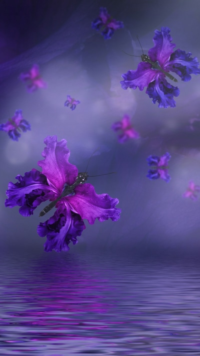 Artistic Butterfly, Flower, Water, Wings, Purple, 1080x1920