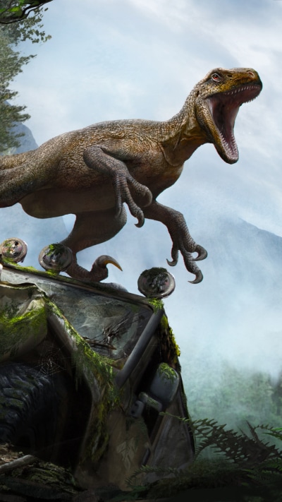 Animal Velociraptor, Dinosaur, 1080x1920