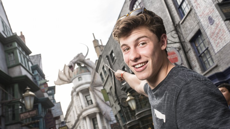 Shawn Mendes, Top music artist and bands, blogger