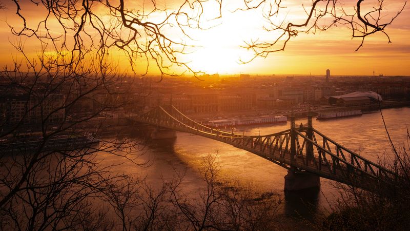 city, bridge, sunset, branches, 4k