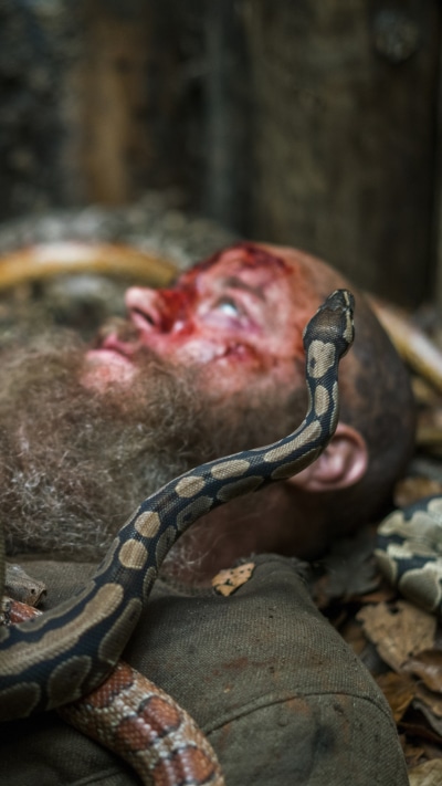 TV Show Vikings, Snake, 1080x1920
