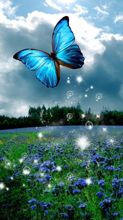 Artistic Butterfly, Blue Flower, Flower, Field, Blue, 1080x1920