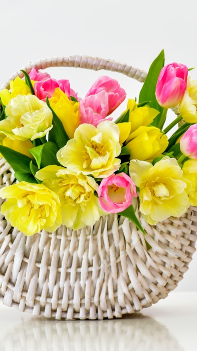 Man Made Flower, Spring, Colors, Basket, Pink Flower, Tulip, 1080x1920