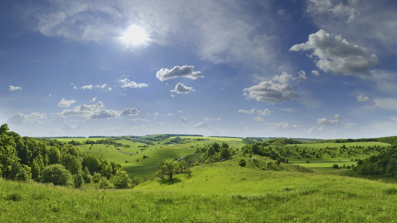 Biełgorod, 4K, Russia, meadows, sky, sun, trees
