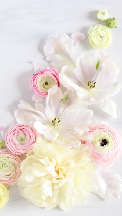 Artistic Flower, Yellow Flower, Pink Flower, Ranuncula, White Flower, 1080x1920