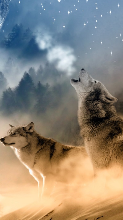Animal Wolf, Moon, Fantasy, 1080x1920