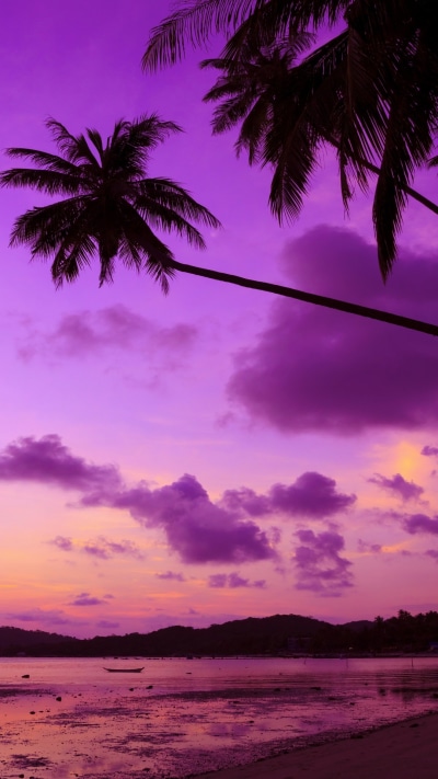 Photography Sunset, Nature, Beach, Cloud, Palm Tree, Purple, 1080x1920