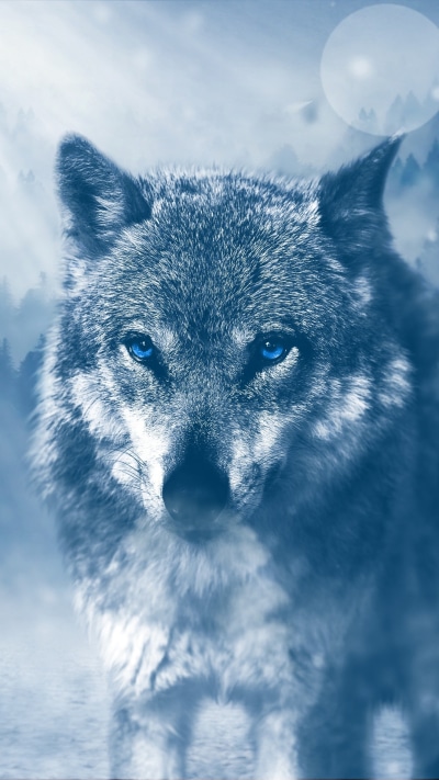 Animal Wolf, Blue Eyes, Blue, Bokeh, 1080x1920