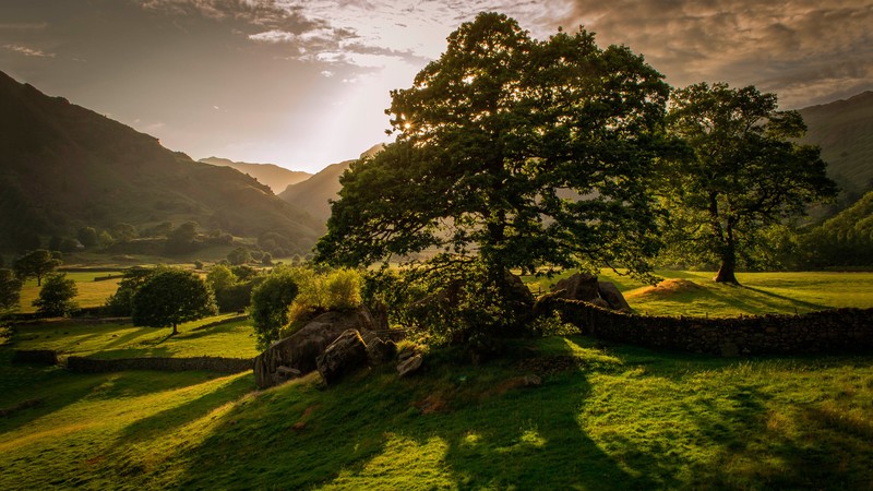 Ireland, 4K, trees, hills, meadows, sunset