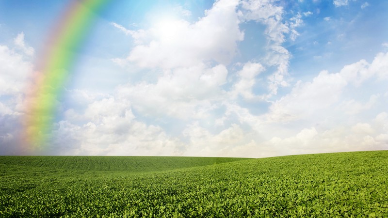 Meadows, 4k, rainbow, sky, clouds