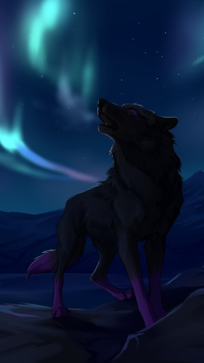 Animal Wolf, 1080x1920