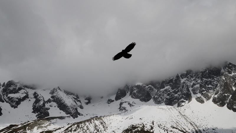 Eagle, mountains, flight, clouds