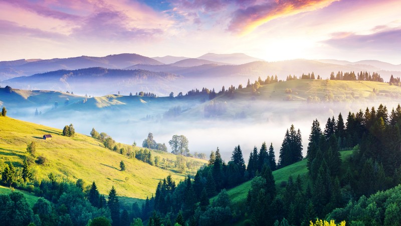 Carpathians, 4K, pines, hills, sunset, fog