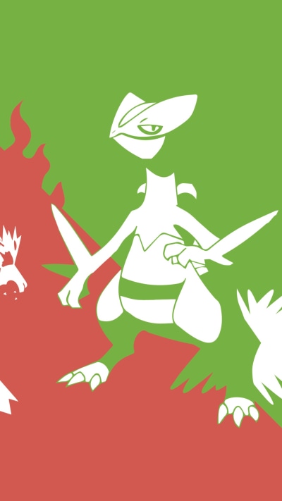 Anime Pokémon, Sceptile (Pokémon), Swampert (Pokémon), Blaziken (Pokémon), 1080x1920